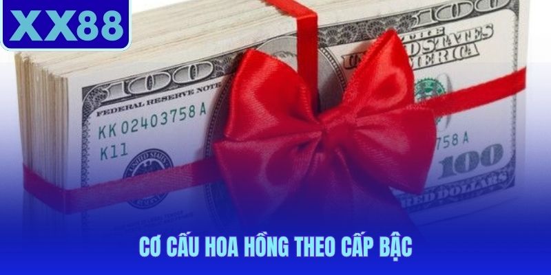 Tỷ lệ hoa hồng phân cấp từ 25% đến 45% doanh thu thuần