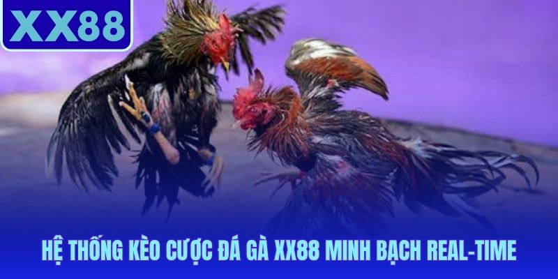 Đá gà XX88 vận hành kèo market-driven odds không thể thao túng