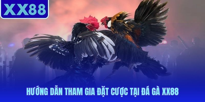 Hai bước đơn giản để vào sảnh đá gà XX88 đặt kèo live