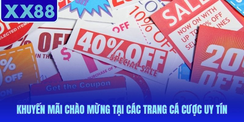 Trang cá cược uy tín nào có rollover thấp và thưởng cao nhất