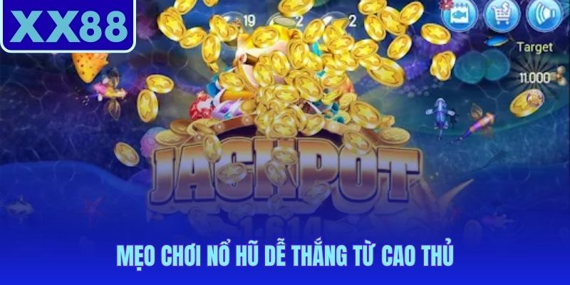 Quản lý vốn kết hợp chọn RTP và Volatility phù hợp