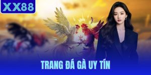 trang đá gà uy tín